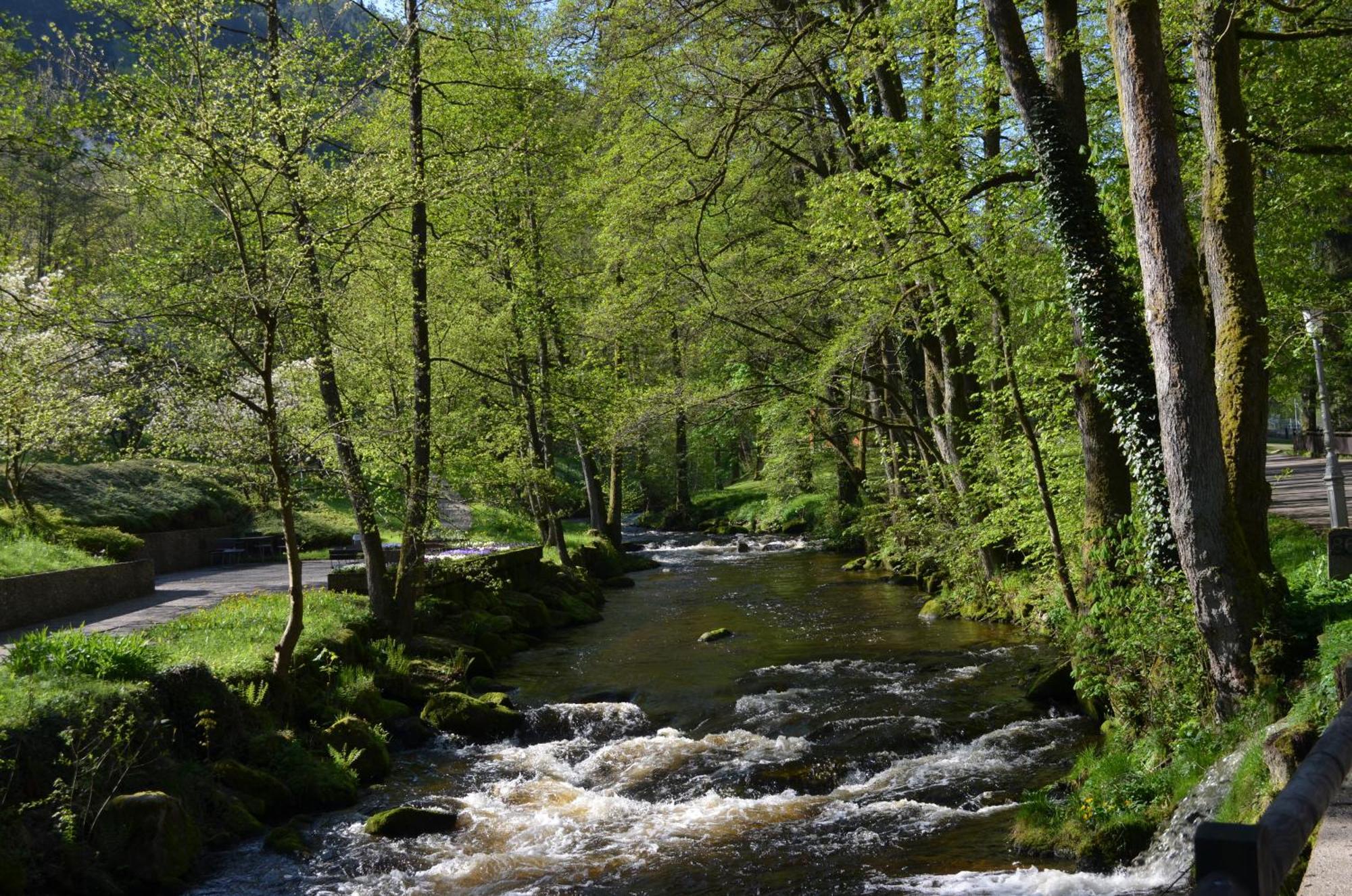Апартаменти Wildbad Luft Бад-Вільдбад Екстер'єр фото